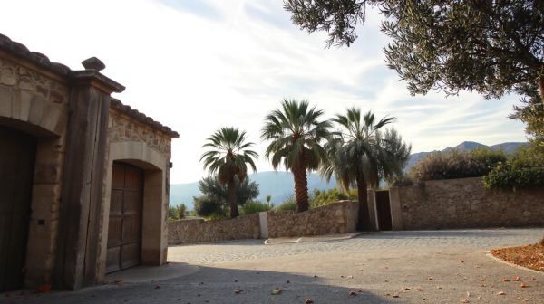 Top recommandations de garages et carrosseries à Sarrola-Carcopino